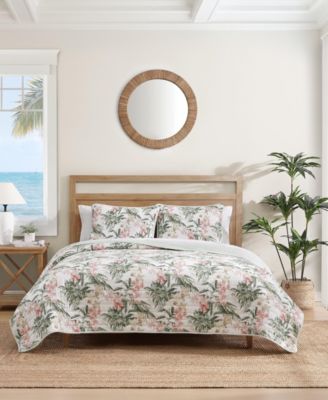 Tommy Bahama