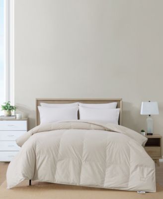 Nikki Chu - 250-Thread Count Down Comforter, Twin