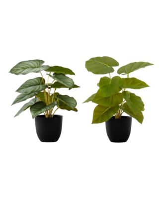 Monarch Specialties
