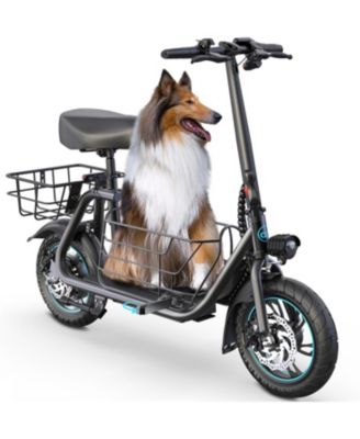Urbanmax